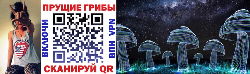 Псилоцибиновые грибы Psilocybe  маркетплейс как зайти  Лениногорск 
